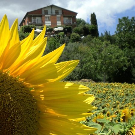 Hotel Sangallo B&B Montepulciano Stazione Exterior foto